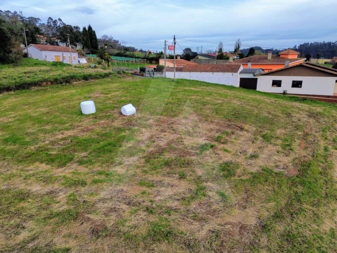 Terreno para Venda em São João de Loure e Frossos Foto 9