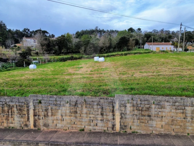 Terreno para Venda em São João de Loure e Frossos Foto 10