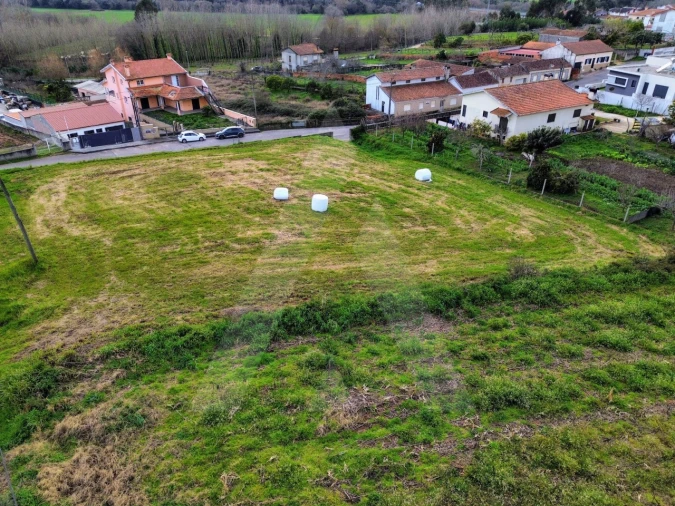 Terreno para Venda em São João de Loure e Frossos Foto 11