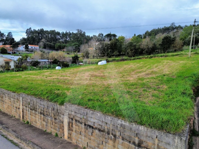 Terreno para Venda em São João de Loure e Frossos Foto 12
