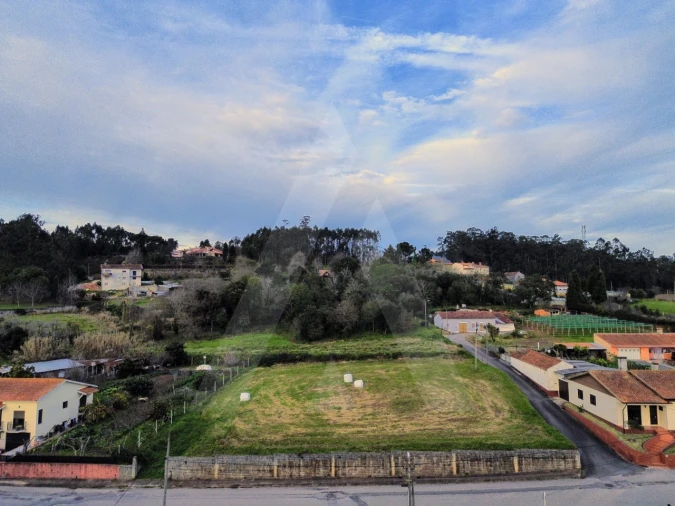Terreno para Venda em São João de Loure e Frossos Foto 14