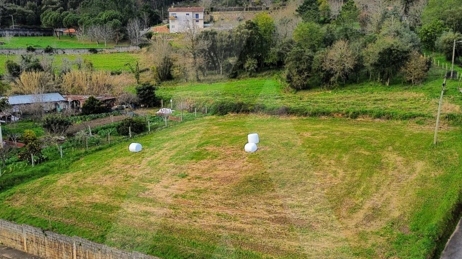 Terreno para Venda em São João de Loure e Frossos