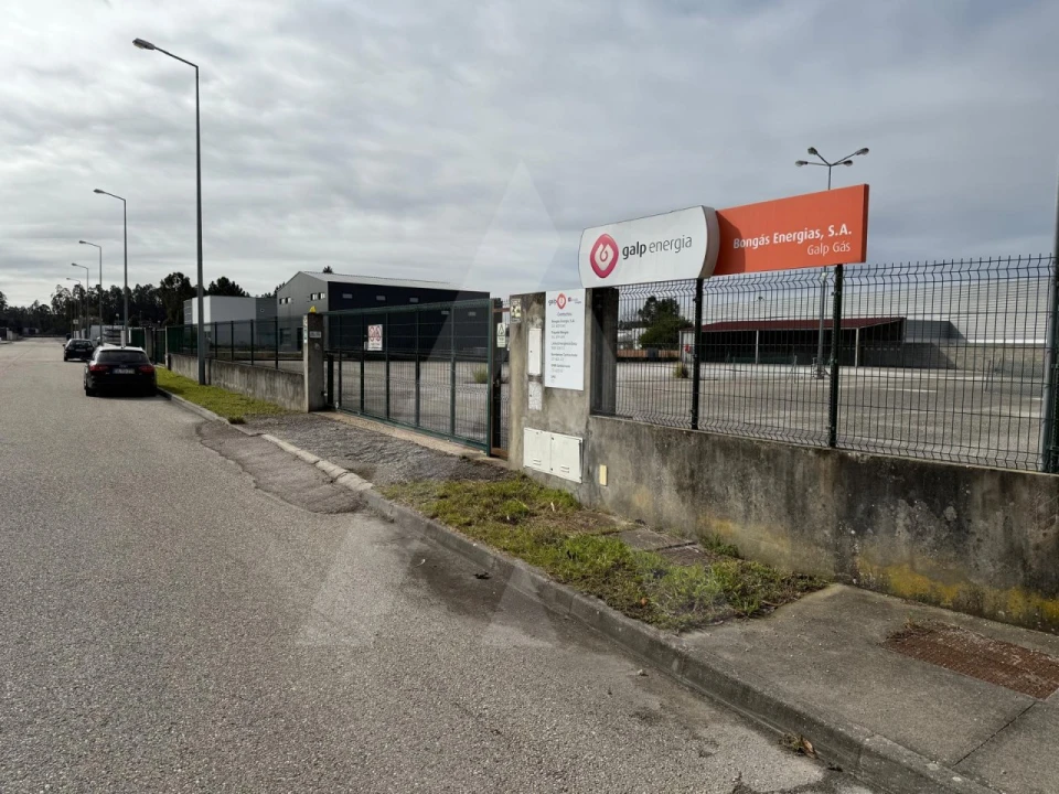 Terreno para Venda em Cadima Foto 5