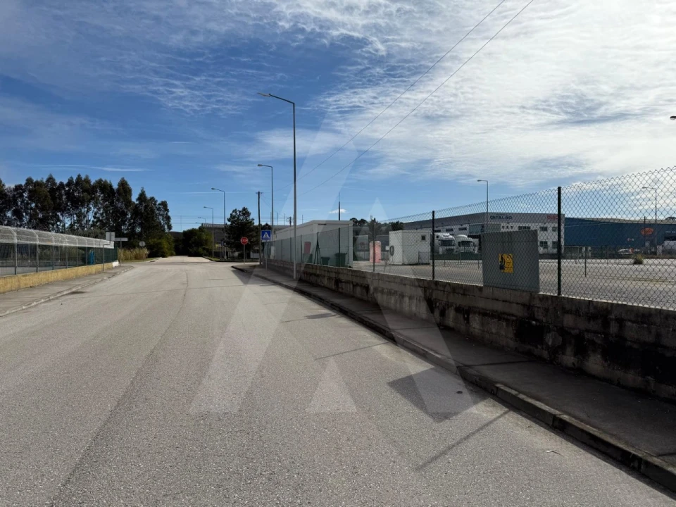 Terreno para Venda em Cadima Foto 6