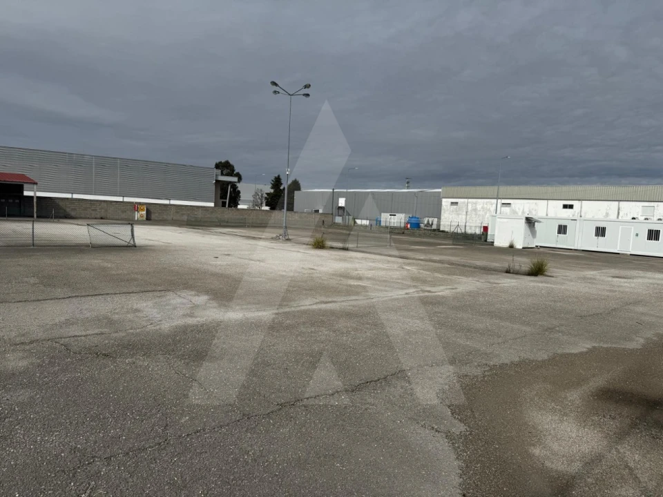 Terreno para Venda em Cadima Foto 2