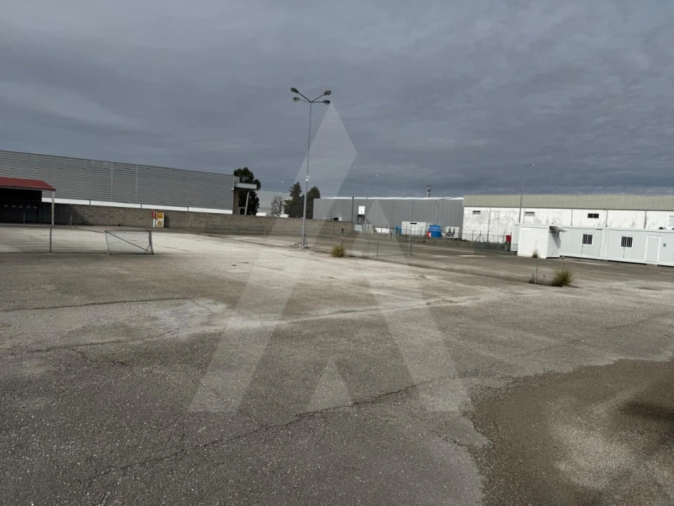 Terreno para Venda em Cadima Foto 11