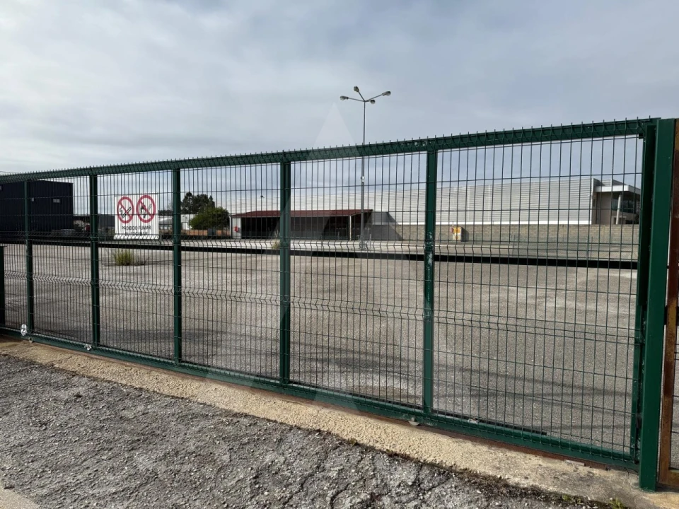 Terreno para Venda em Cadima Foto 12