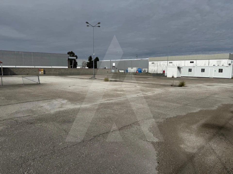 Terreno para Venda em Cadima Foto 13