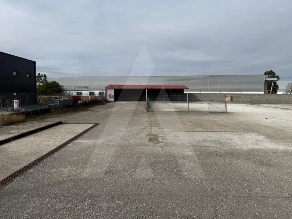 Terreno para Venda em Cadima Foto 15