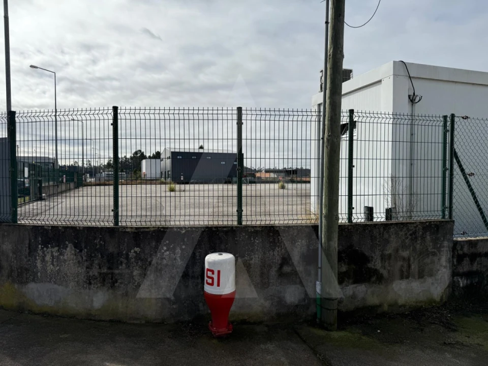 Terreno para Venda em Cadima Foto 16