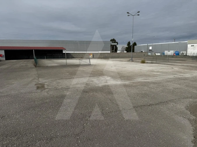 Terreno para Venda em Cadima Foto 3