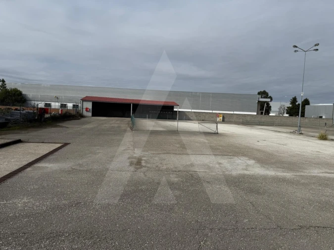 Terreno para Venda em Cadima Foto 8