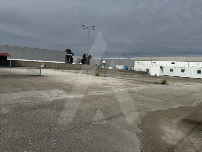 Terreno para Venda em Cadima Foto 2