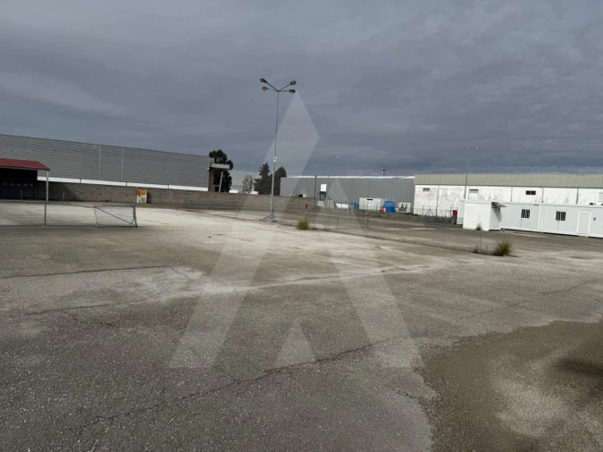 Terreno para Venda em Cadima Foto 11