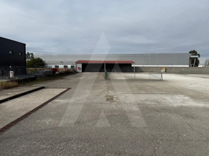 Terreno para Venda em Cadima Foto 15