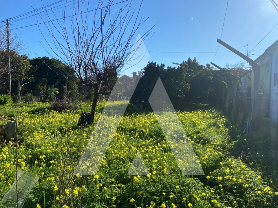 Terreno para Venda em Tamengos, Aguim e Óis do Bairro Foto 2