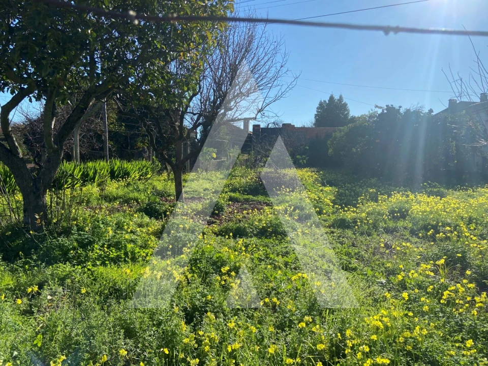 Terreno para Venda em Tamengos, Aguim e Óis do Bairro Foto 3
