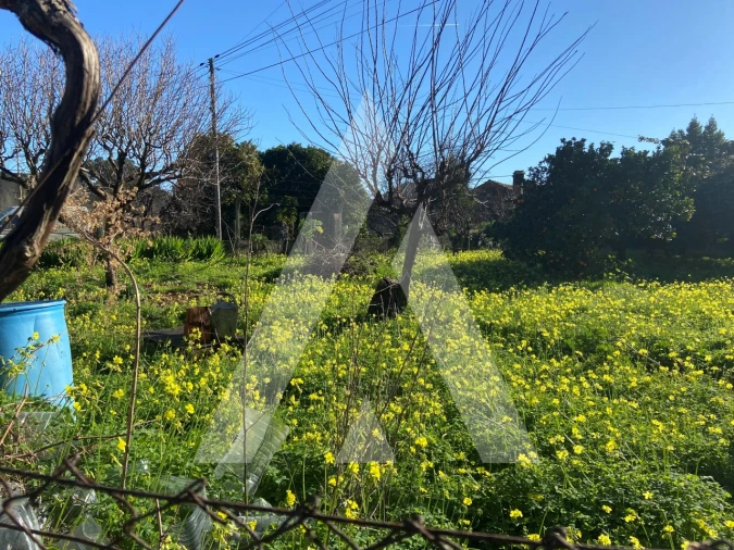 Terreno para Venda em Tamengos, Aguim e Óis do Bairro Foto 1