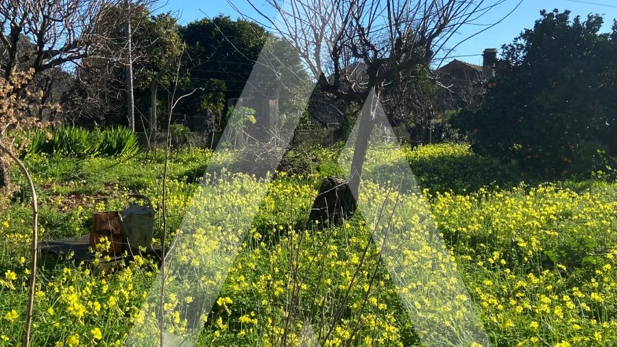 Terreno para Venda em Tamengos, Aguim e Óis do Bairro