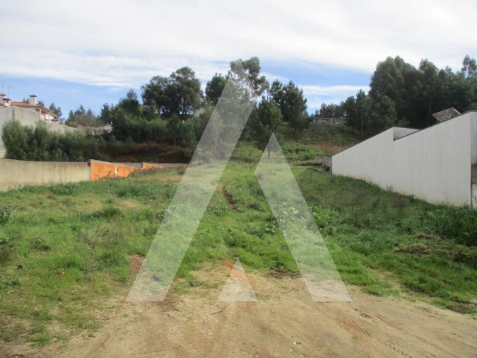 Terreno para Venda em Avelãs de Caminho