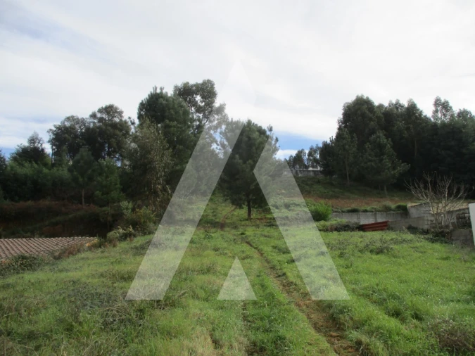 Terreno para Venda em Avelãs de Caminho Foto 2