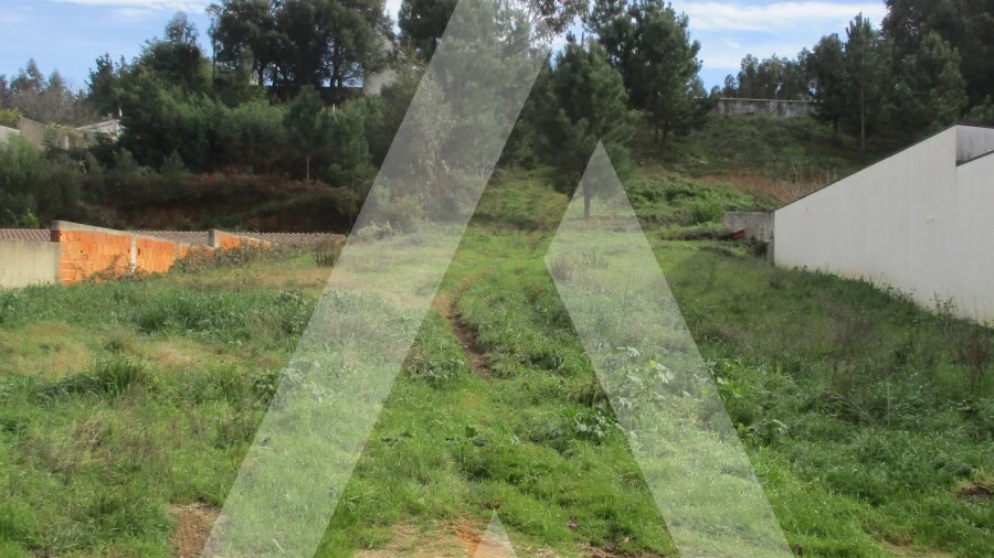 Terreno para Venda em Avelãs de Caminho