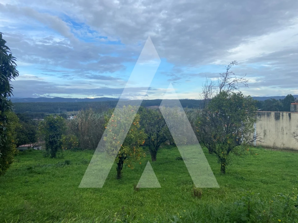 Terreno para Venda em Moita Foto 4