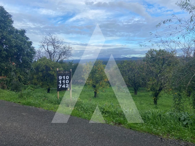 Terreno para Venda em Moita