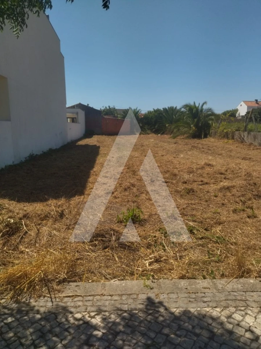 Terreno para Venda em Santa Joana Foto 3