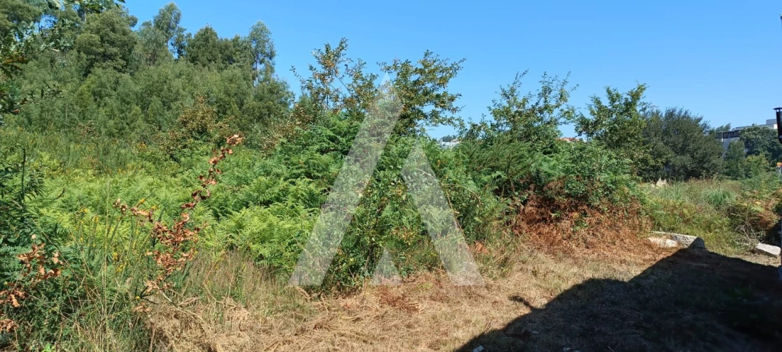 Terreno para Venda em Pedroso e Seixezelo Foto 4