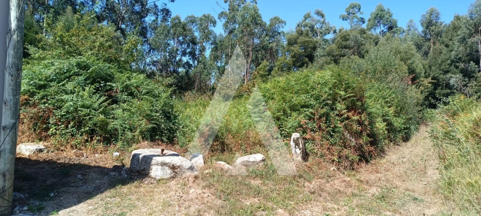 Terreno para Venda em Pedroso e Seixezelo Foto 5