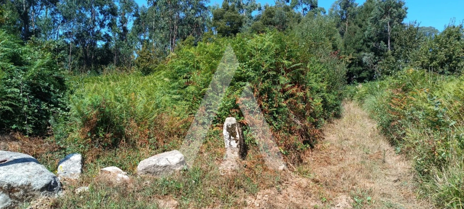 Terreno para Venda em Pedroso e Seixezelo Foto 6