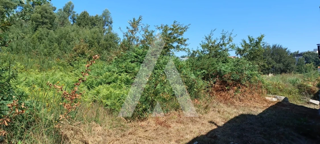 Terreno para Venda em Pedroso e Seixezelo Foto 4