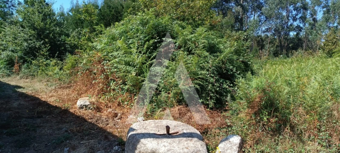 Terreno para Venda em Pedroso e Seixezelo Foto 8