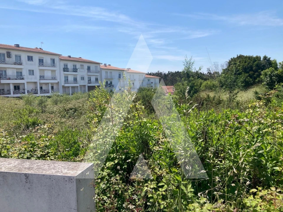 Terreno para Venda em Albergaria-A-Velha e Valmaior Foto 1