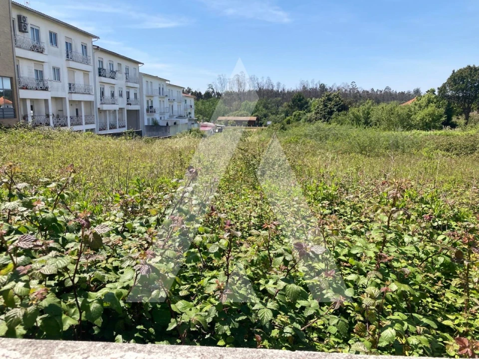 Terreno para Venda em Albergaria-A-Velha e Valmaior Foto 2