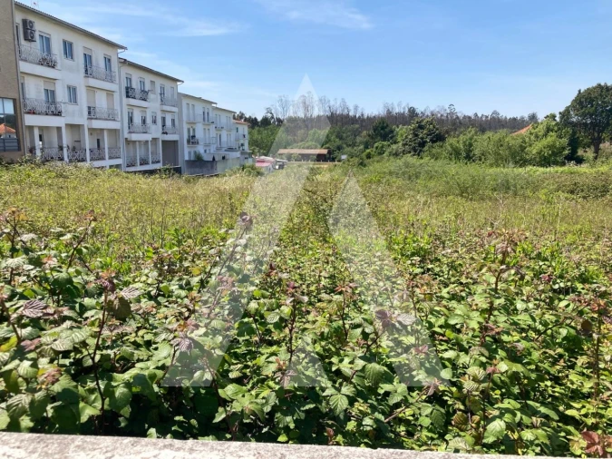 Terreno para Venda em Albergaria-A-Velha e Valmaior Foto 2