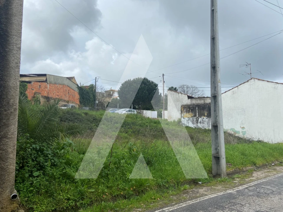 Terreno para Venda em Vila Nova de Monsarros Foto 1