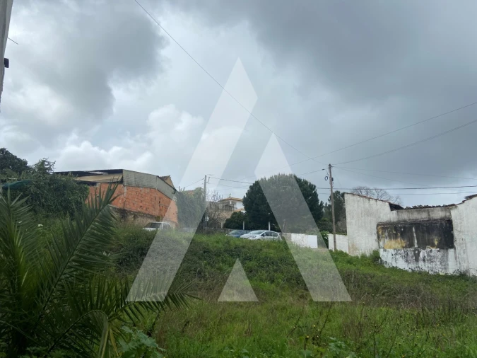 Terreno para Venda em Vila Nova de Monsarros Foto 5