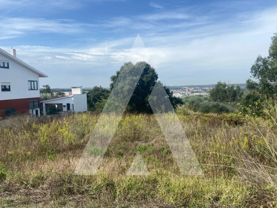 Terreno para Venda em Oliveira do Bairro Foto 2