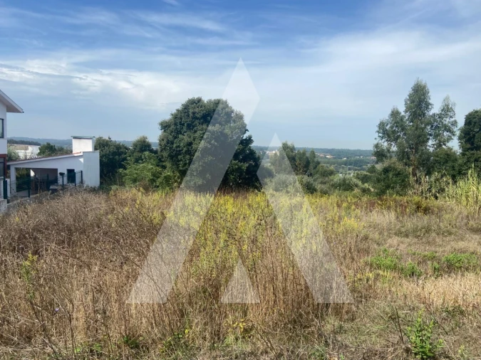 Terreno para Venda em Oliveira do Bairro Foto 3