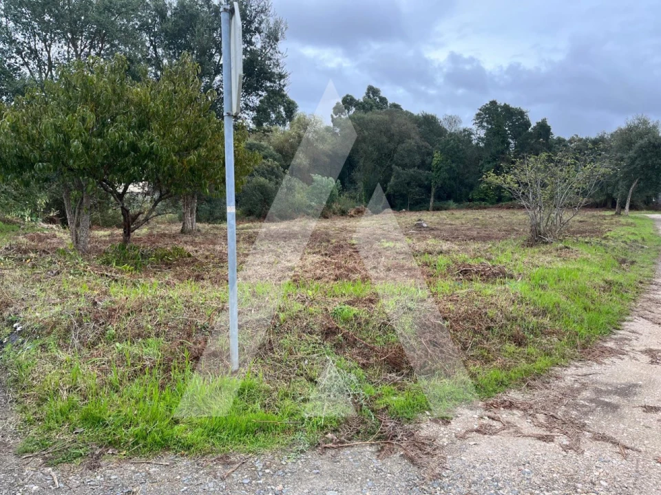 Terreno para Venda em Esgueira Foto 5