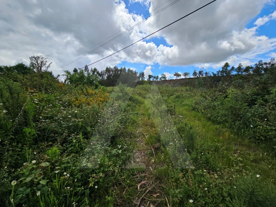 Terreno para Venda em Barrô e Aguada de Baixo Foto 1