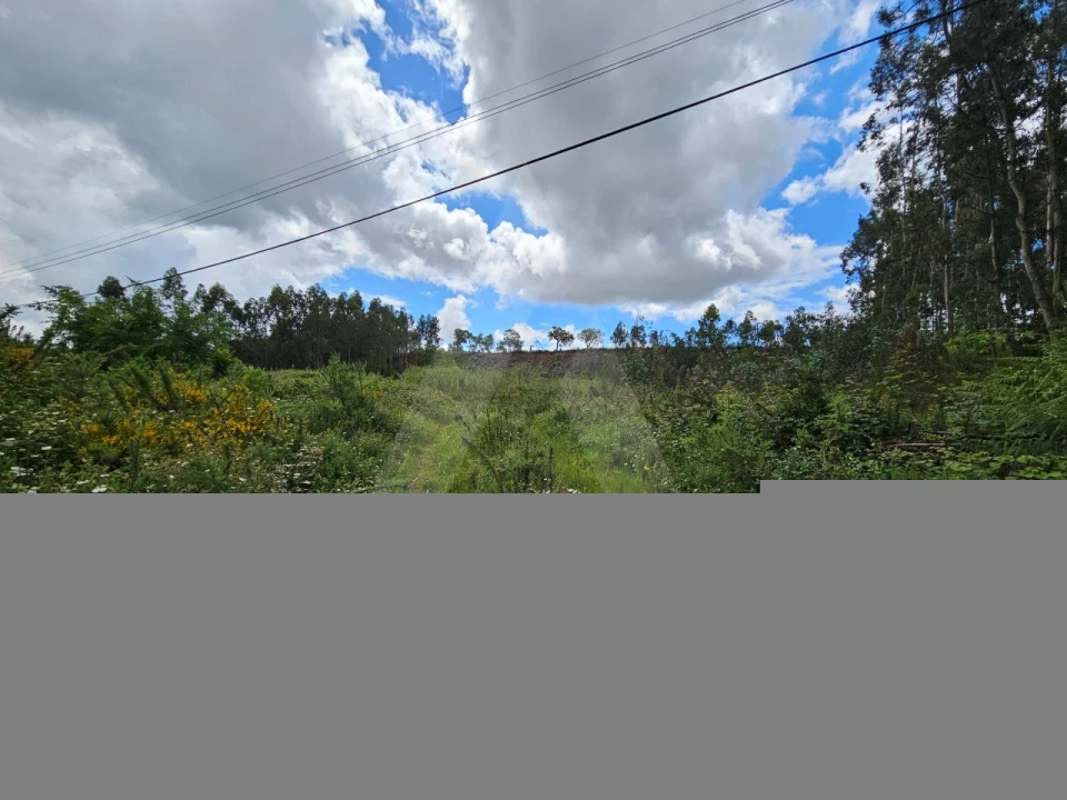 Terreno para Venda em Barrô e Aguada de Baixo Foto 4