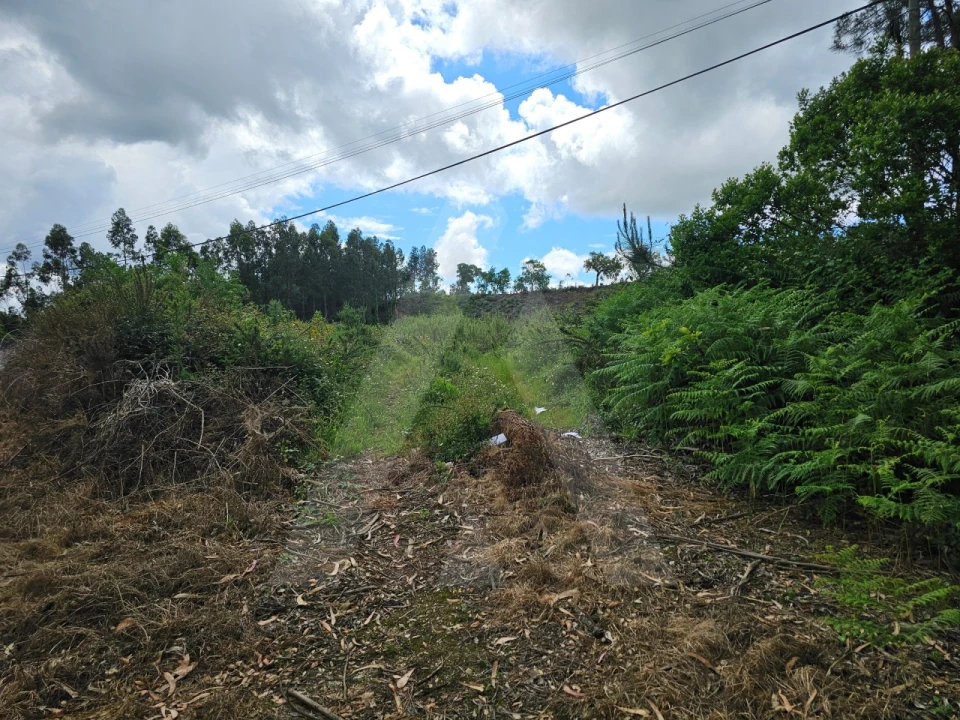 Terreno para Venda em Barrô e Aguada de Baixo Foto 7