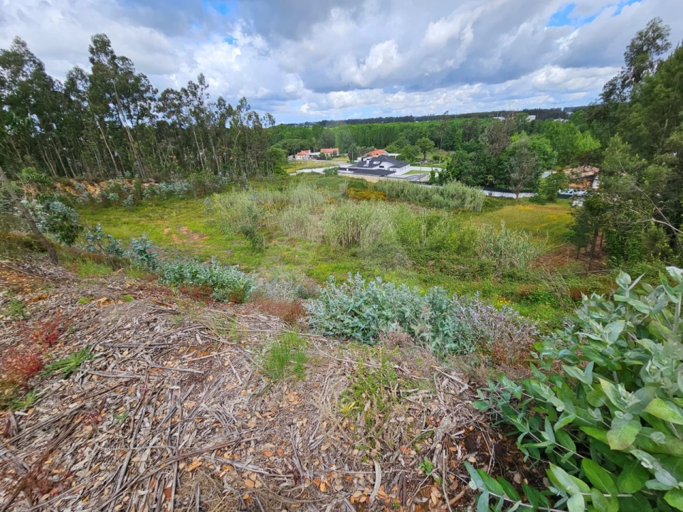 Terreno para Venda em Barrô e Aguada de Baixo Foto 11