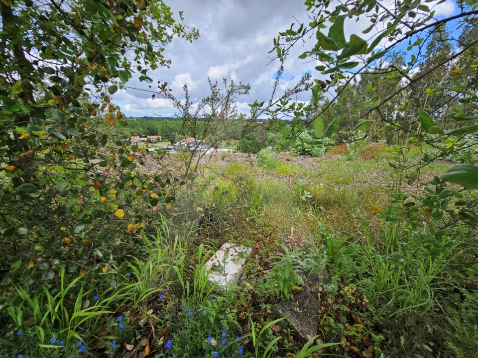 Terreno para Venda em Barrô e Aguada de Baixo Foto 12