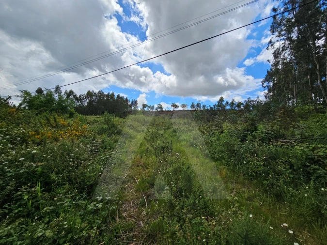 Terreno para Venda em Barrô e Aguada de Baixo Foto 5