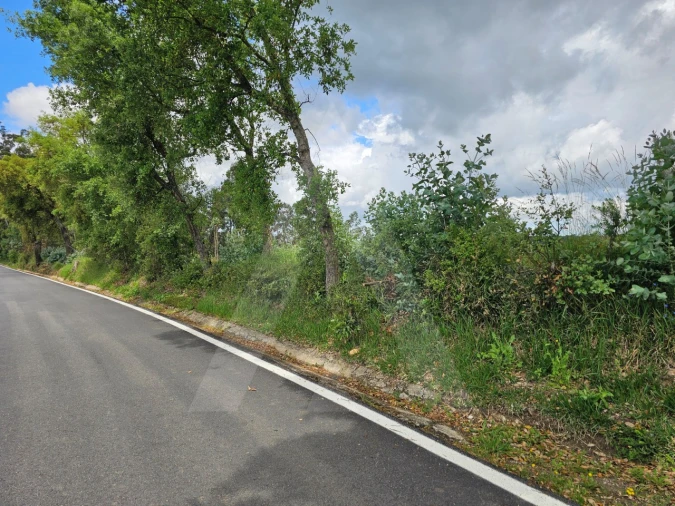 Terreno para Venda em Barrô e Aguada de Baixo Foto 8
