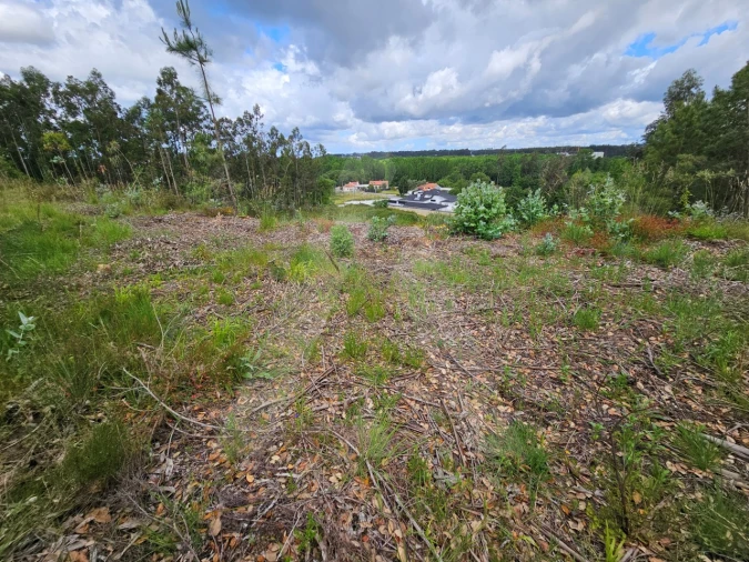 Terreno para Venda em Barrô e Aguada de Baixo Foto 10